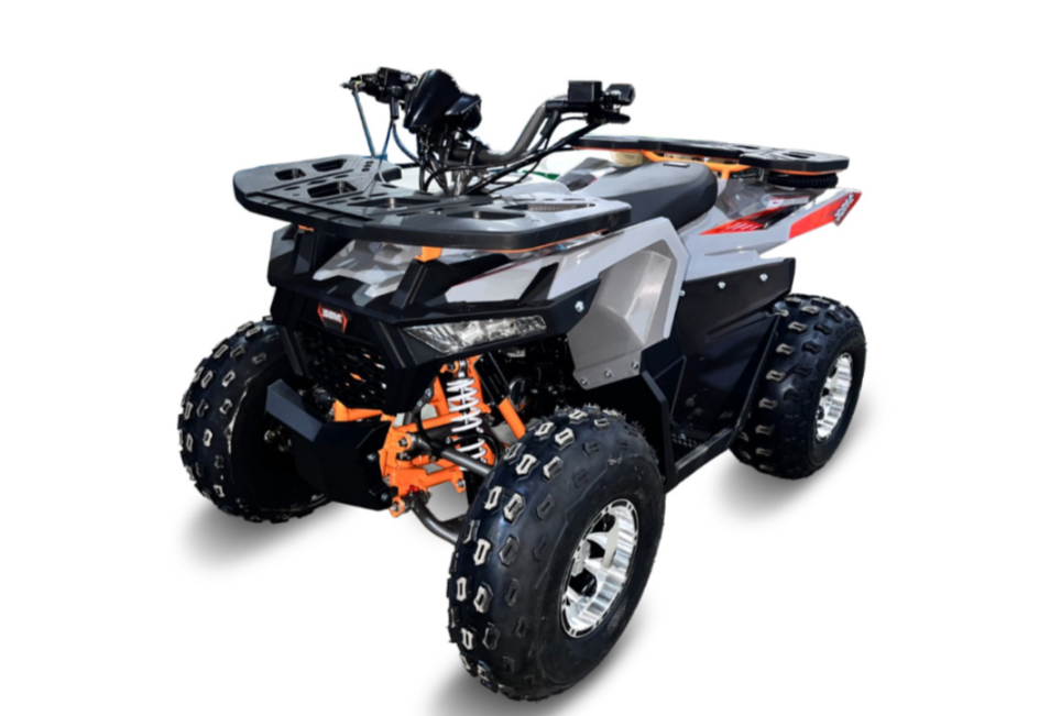 Квадроцикл GBM DAXTER 220 NEW PREMIUM в Балакове