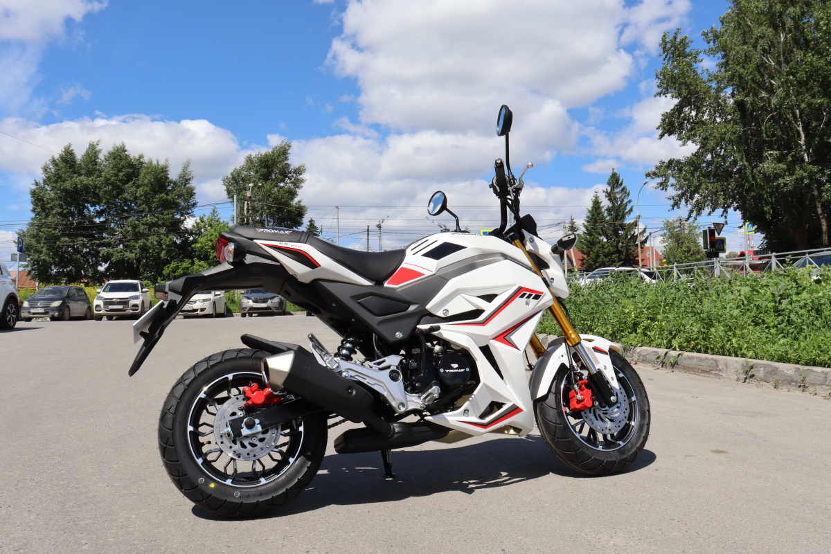Мотоцикл PROMAX STRYKER 200(49) 2.0 в Балакове