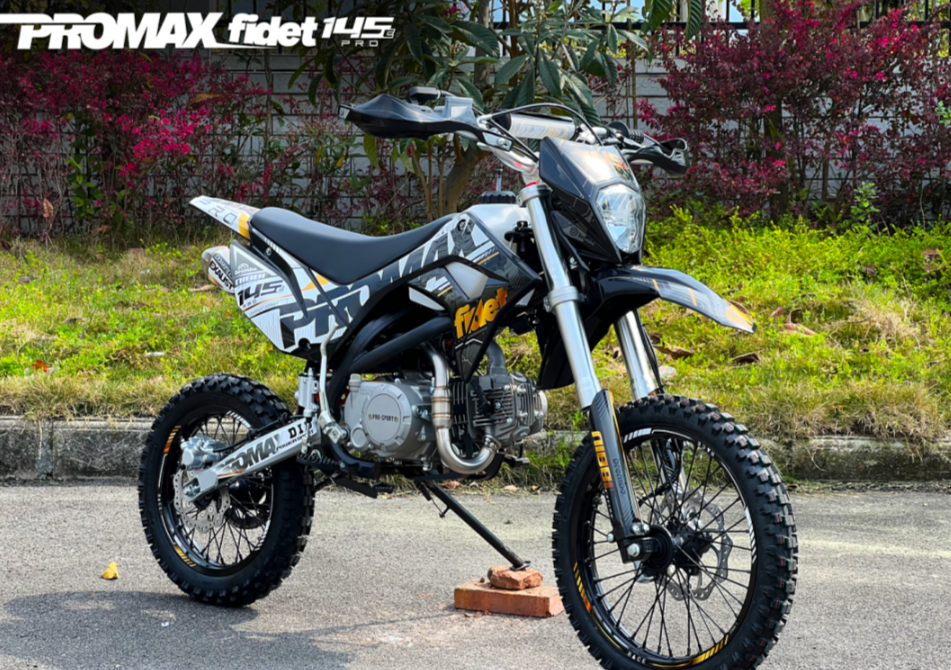 Мотоцикл (питбайк) PROMAX FIDET (ФАЙДЕТ) 145E PRO 17/14 в Балакове
