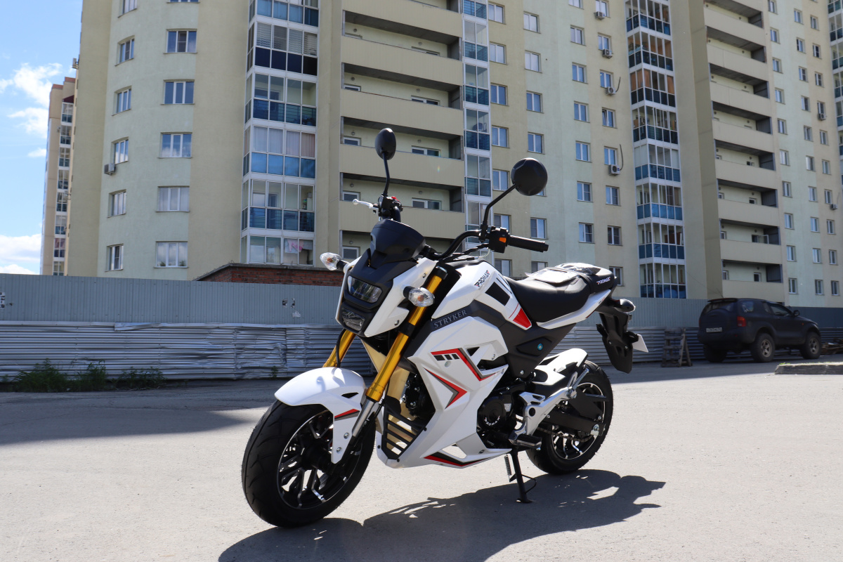 Мотоцикл PROMAX STRYKER 200(49) 2.0 в Балакове