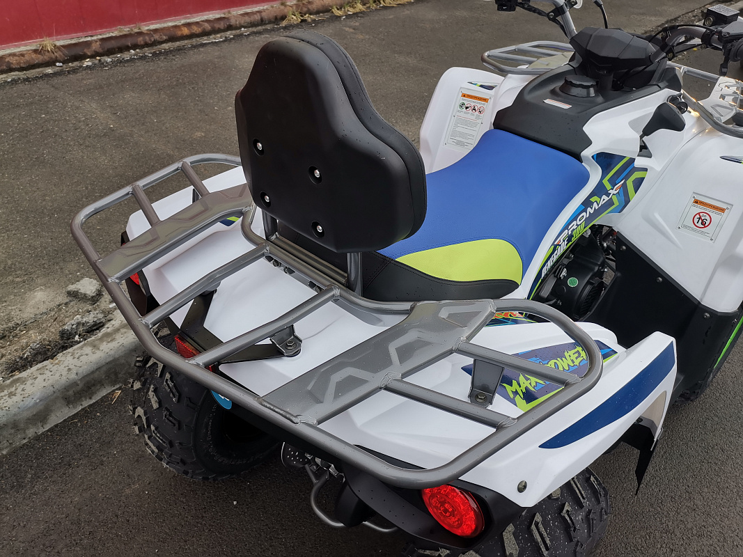 Квадроцикл PROMAX RENEGADE 280 LUX (2025) в Балакове