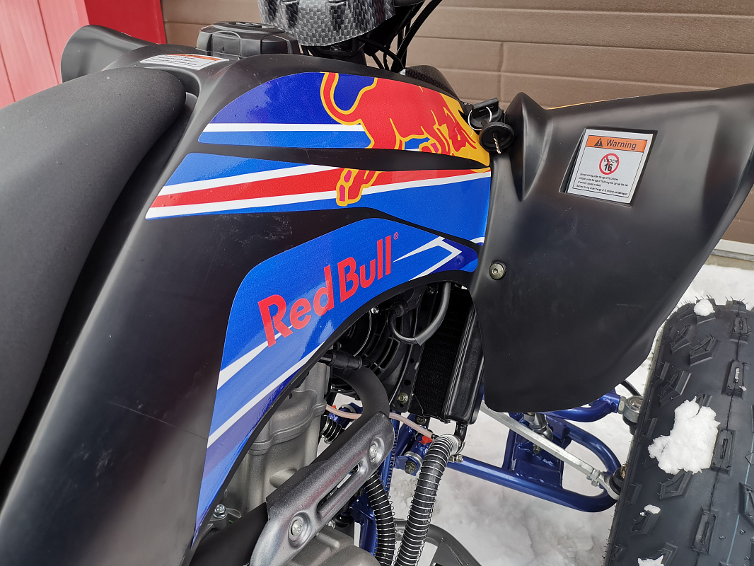 Квадроцикл PROMAX RAPTOR 300 NEW RedBull в Балакове
