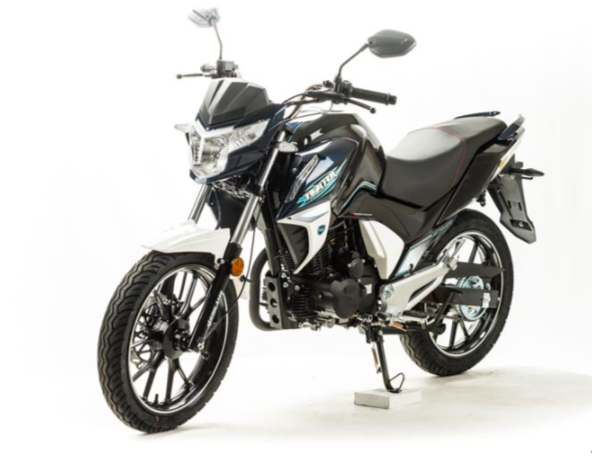 Мотоцикл MOTOLAND (МОТОЛЕНД) FIGHTER 250 в Балакове