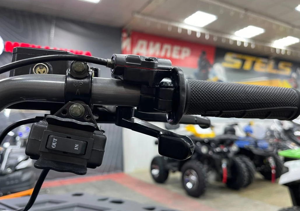 Квадроцикл PROMAX RENEGADE 300 LONG WINCH PRO (2025) в Балакове