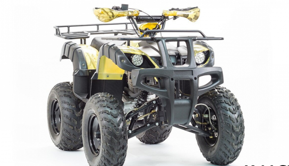 Квадроцикл MOTOLAND (МОТОЛЕНД) 250 ADVENTURE в Балакове