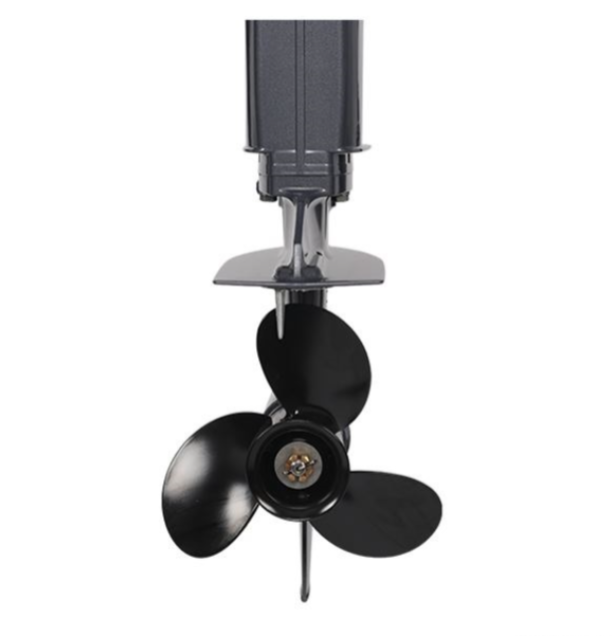 Лодочный мотор ALLFA CG Т40FW S в Балакове