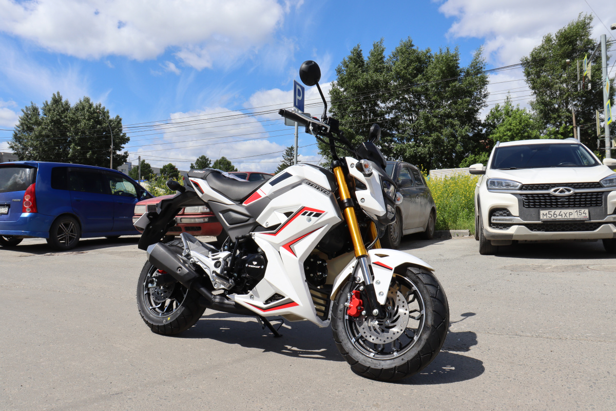 Мотоцикл PROMAX STRYKER 200(49) 2.0 в Балакове