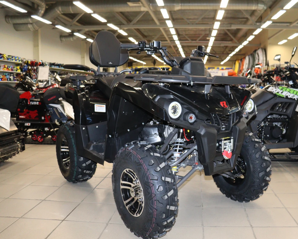 Квадроцикл PROMAX RENEGADE 300 LONG WINCH PRO (2025) в Балакове