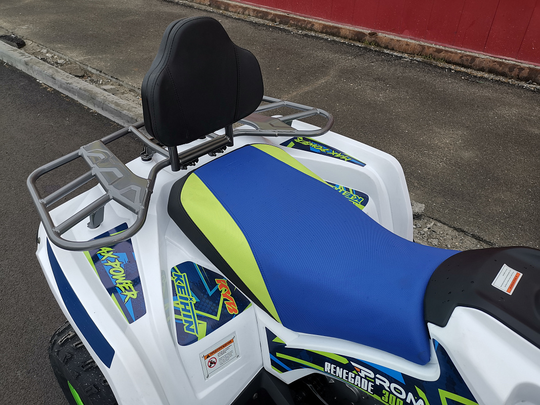 Квадроцикл PROMAX RENEGADE 280 LUX (2025) в Балакове