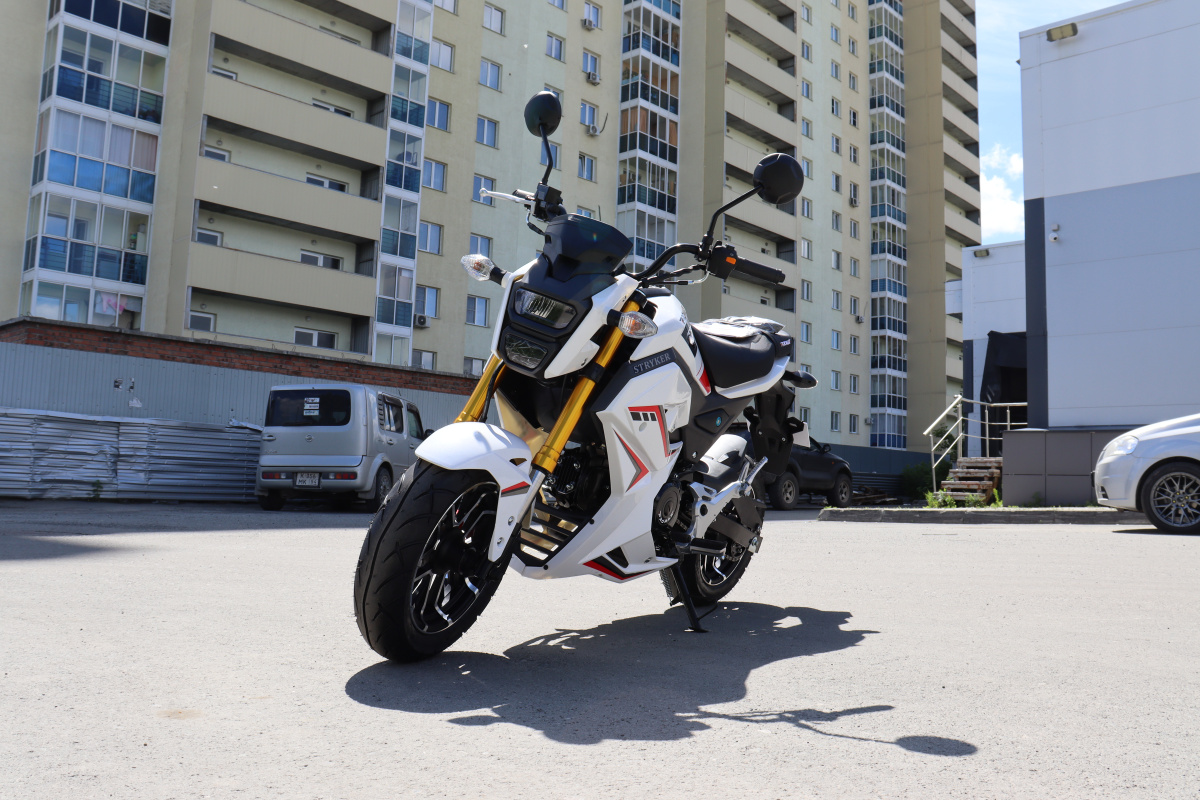 Мотоцикл PROMAX STRYKER 200(49) 2.0 в Балакове