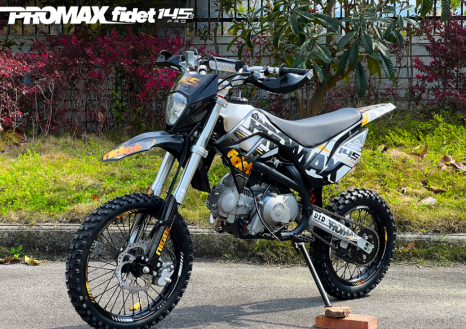 Мотоцикл (питбайк) PROMAX FIDET (ФАЙДЕТ) 145E PRO 17/14 в Балакове
