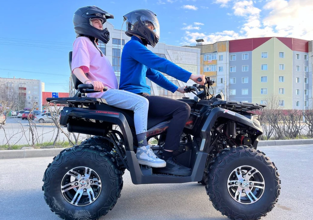 Квадроцикл PROMAX RENEGADE 300 LONG WINCH PRO (2025) в Балакове