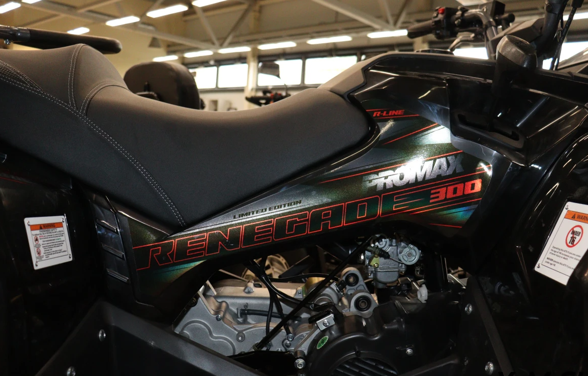 Квадроцикл PROMAX RENEGADE 300 LONG WINCH PRO (2025) в Балакове