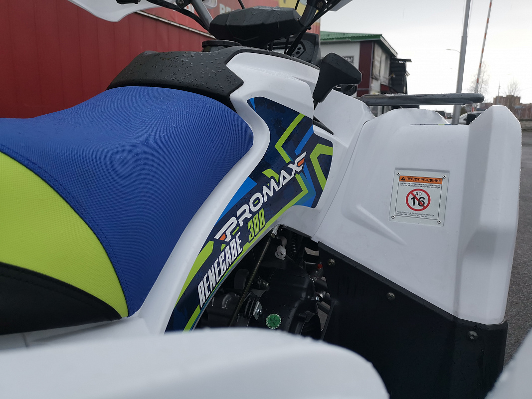 Квадроцикл PROMAX RENEGADE 280 LUX (2025) в Балакове