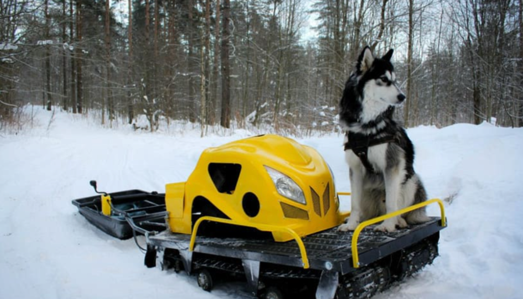Мотобуксировщик LEBEDEV MOTORS ВОЛКОДАВ POWER V13 в Балакове