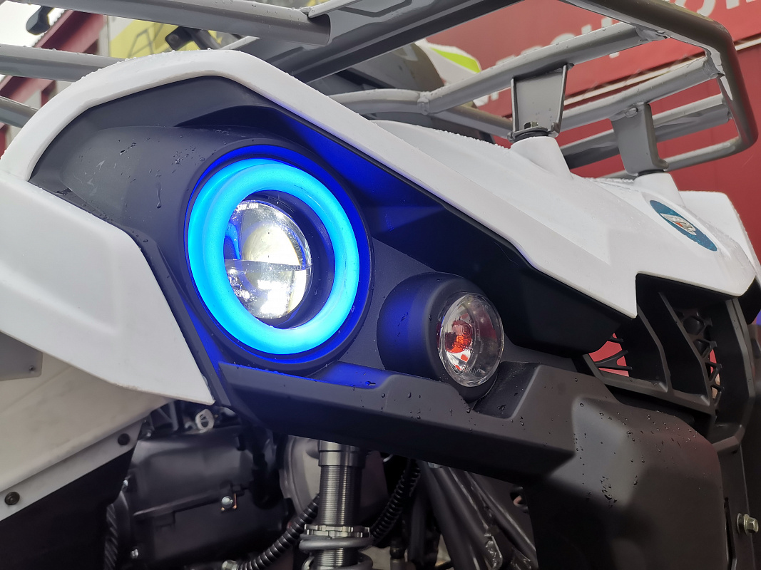 Квадроцикл PROMAX RENEGADE 280 LUX (2025) в Балакове