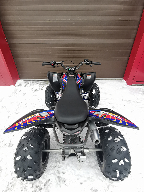 Квадроцикл PROMAX RAPTOR 300 NEW RedBull в Балакове
