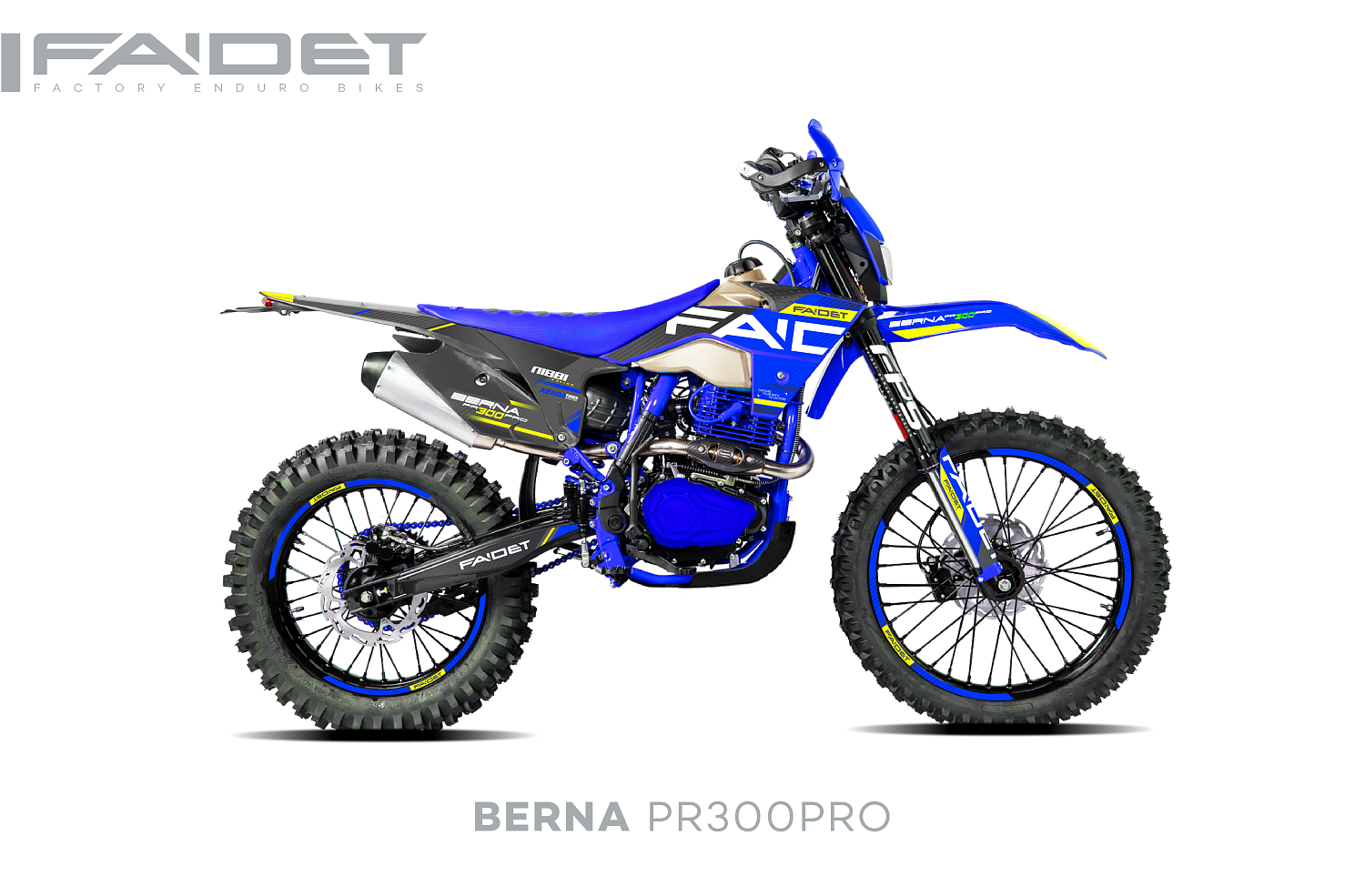 Кроссовый мотоцикл FAIDET BERNA PR300-PRO FPS в Балакове