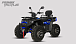 Квадроцикл PROMAX TAURUS 300 MAX-PRO LONG в Балакове