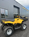 КВАДРОЦИКЛ IRBIS ATV 250  в Балакове