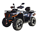 Квадроцикл MOTOLAND (МОТОЛЕНД) 300 MAX X в Балакове