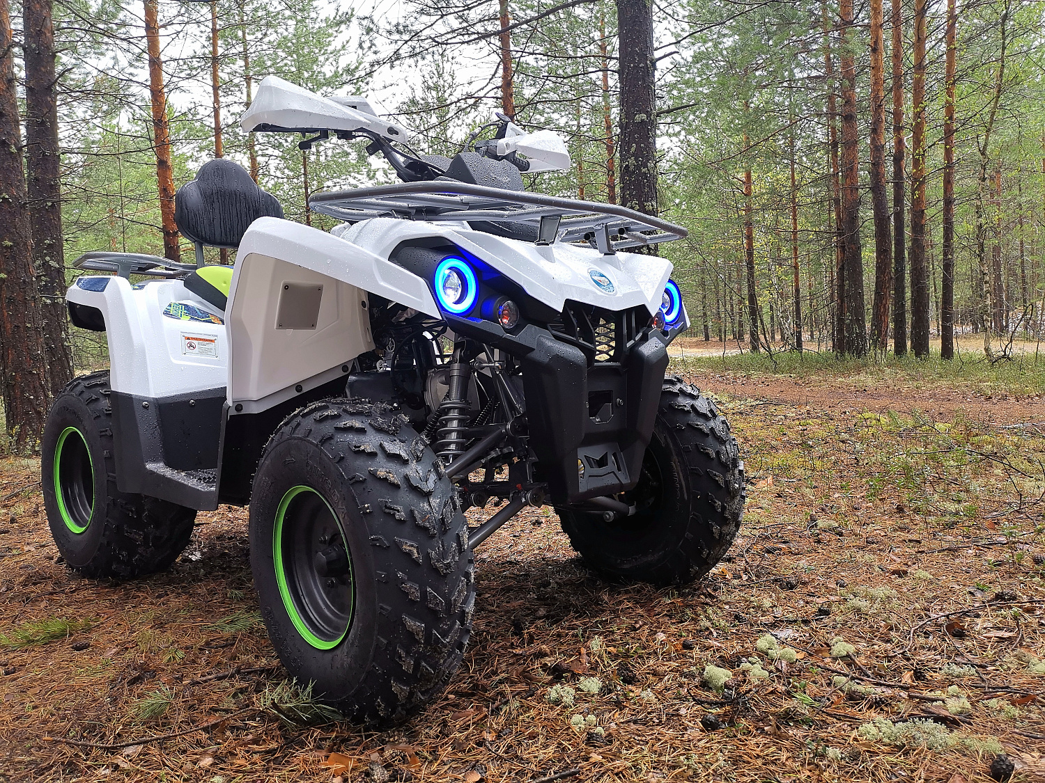 Квадроцикл PROMAX RENEGADE 280 (2025) в Балакове