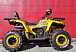 Квадроцикл PROMAX STORM 280 LUX в Балакове