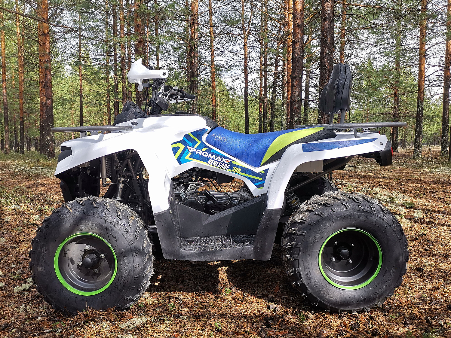 Квадроцикл PROMAX RENEGADE 280 (2025) в Балакове