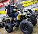 Квадроцикл PROMAX ATV 250 (2025) в Балакове