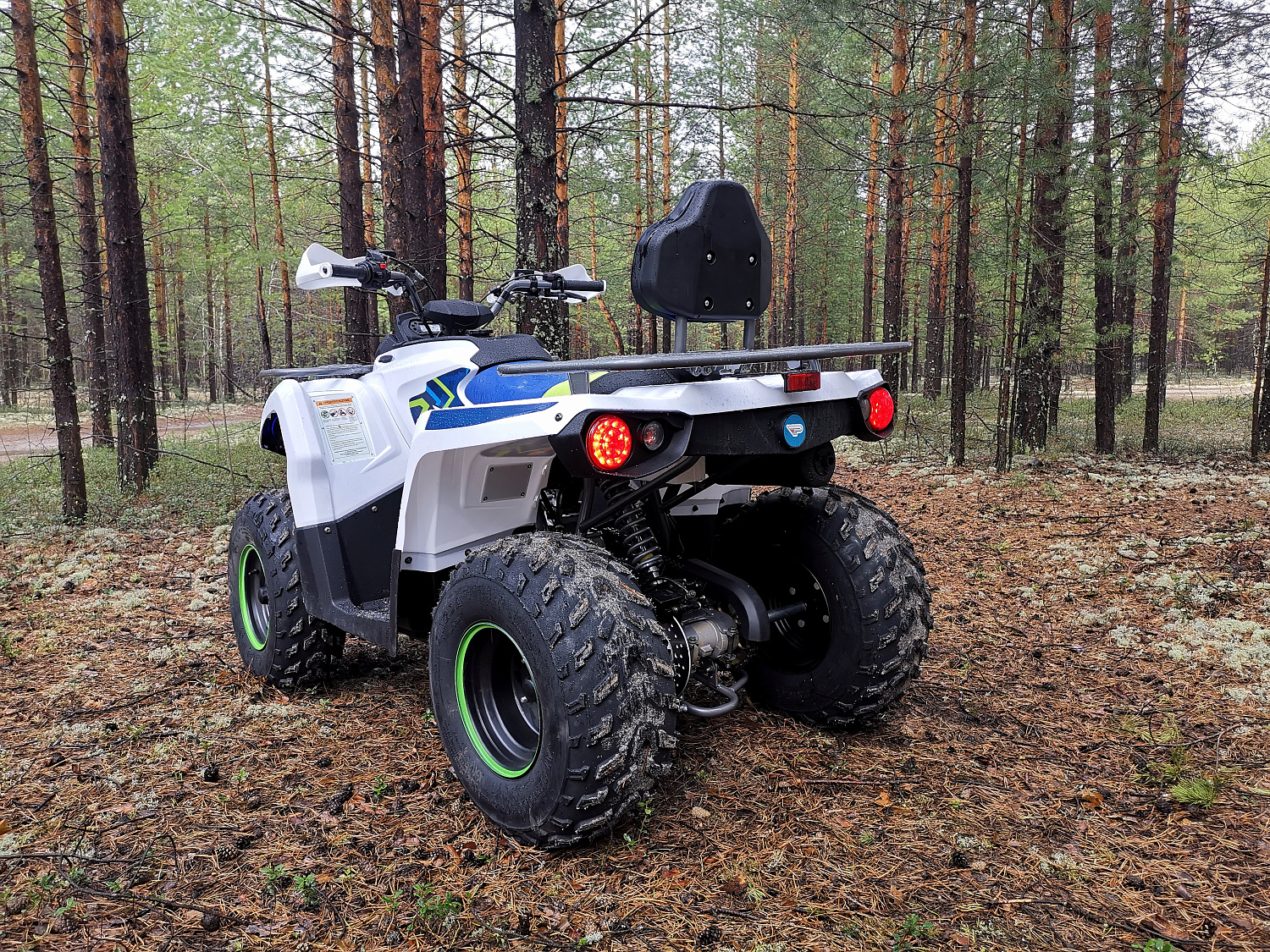 Квадроцикл PROMAX RENEGADE 280 (2025) в Балакове
