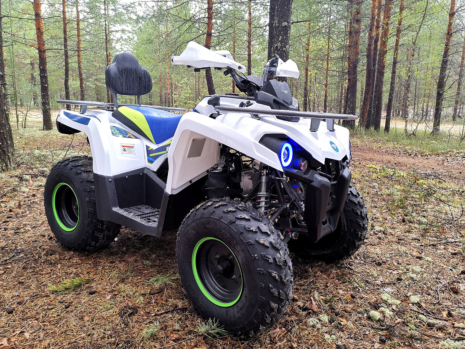 Квадроцикл PROMAX RENEGADE 280 (2025) в Балакове