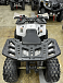 Квадроцикл PROMAX WILD 2.0 190 в Балакове