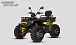 Квадроцикл PROMAX TAURUS 300 MAX-PRO LONG в Балакове